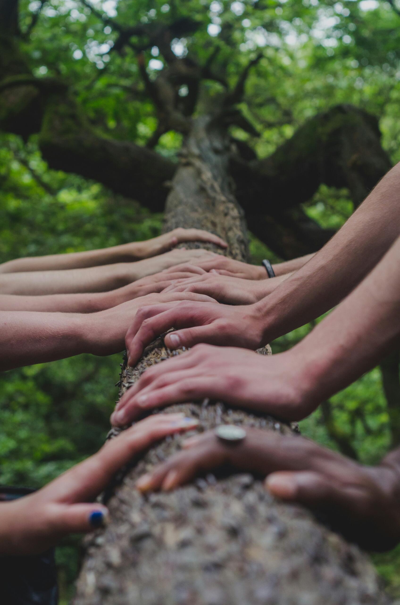 Family trees