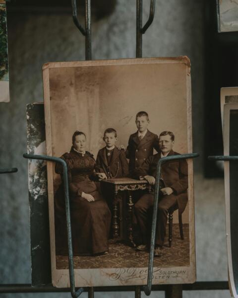 Family trees